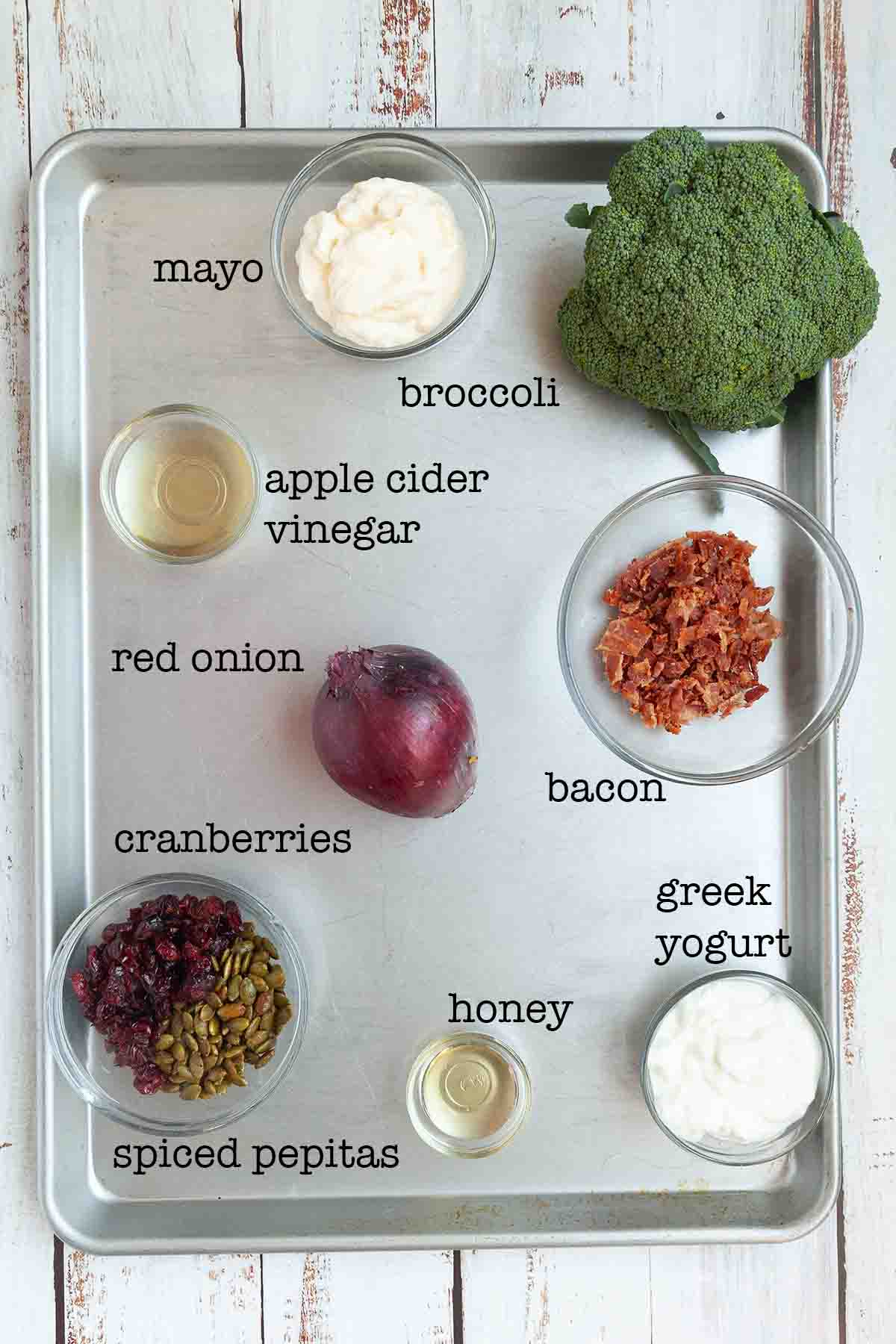 Ingredients for broccoli cranberry salad--mayo, broccoli, apple cider vinegar, bacon, onion, cranberries, pepitas, honey, and yogurt.
