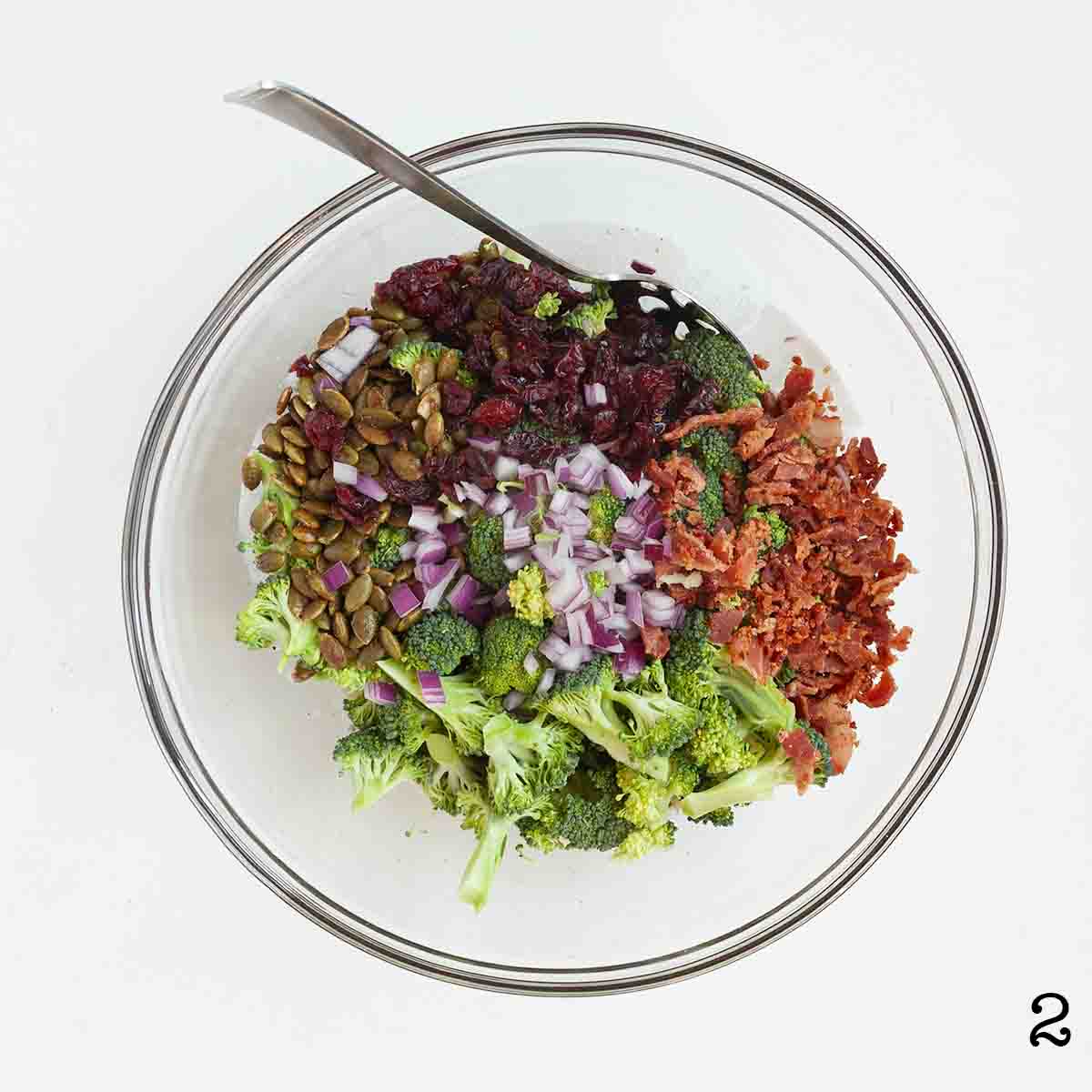 A bowl filled with raw broccoli, chopped red onion, crumbled bacon, dried cranberries, and pepitas.